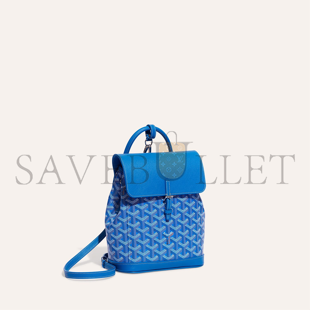 GOYARD ALPIN MINI BACKPACK ALPIN2MINTY10CL10P (23*19*9.5cm)